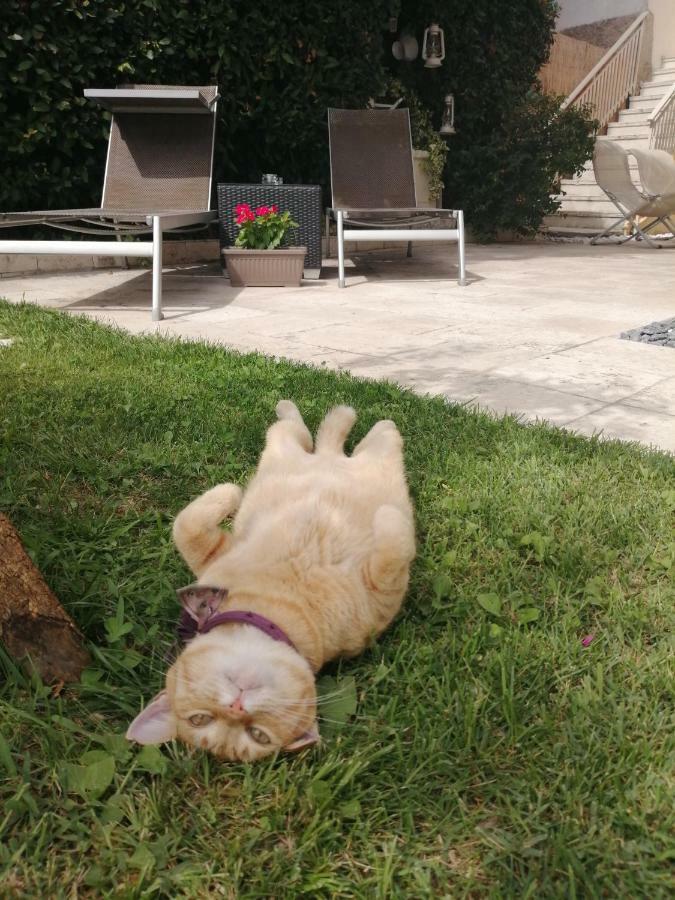 Casa VacanzeVobarno エクステリア 写真